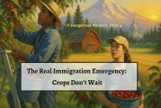 Opinion: The real immigration emergency – crops don’t wait