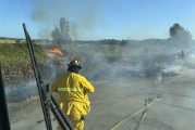 Vancouver Fire extinguishes brush fire