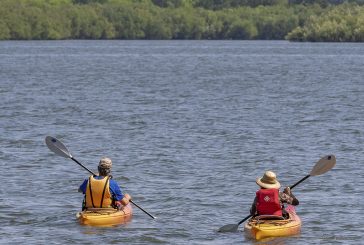 Second phase of Vancouver Lake Management Plan completed