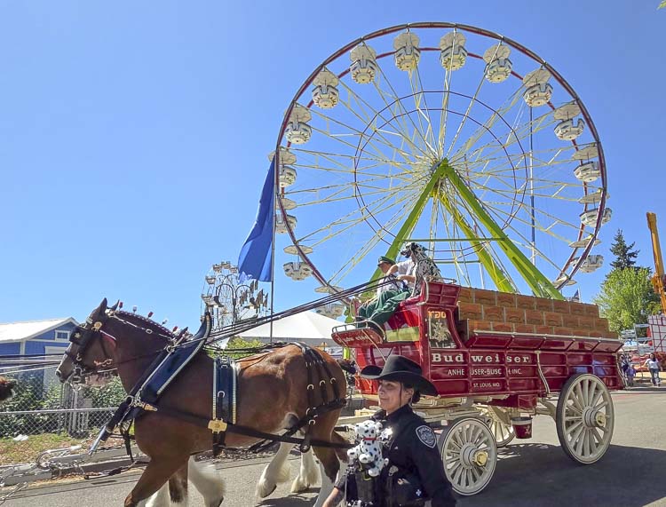 It’s fair to say (see what we did there?) that one of the things the 2025 Clark County Fair will be remembered for was a visit from the Budweiser Clydesdales. Photo by Paul Valencia