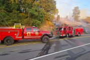 Vancouver firefighters respond to fast-moving brush fire near Fruit Valley Road