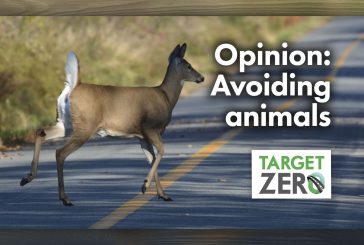 Opinion: Avoiding animals