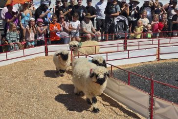 What’s happening at the Clark County Fair on Tuesday, Aug. 5