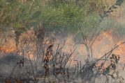 Recreational burn ban effective immediately in Camas and Washougal due to fire danger