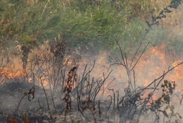 Recreational burn ban effective immediately in Camas and Washougal due to fire danger