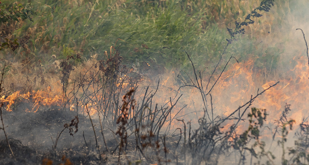 Camas-Washougal officials issued a recreational burn ban effective immediately, prohibiting all outdoor wood fires due to fire danger, though charcoal and gas grills remain permitted.