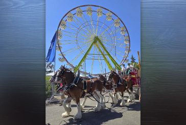 Clark County Fair Board gives its critique of 2025