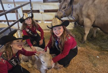 What’s happening at the Clark County Fair on Saturday, Aug. 9