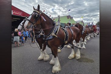 What’s happening at the Clark County Fair on Sunday, Aug. 10