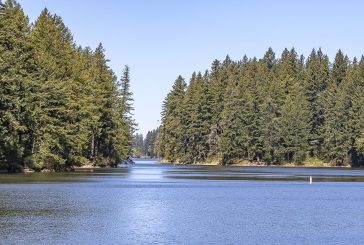 Public Health issues warning for Round Lake due to elevated toxin levels