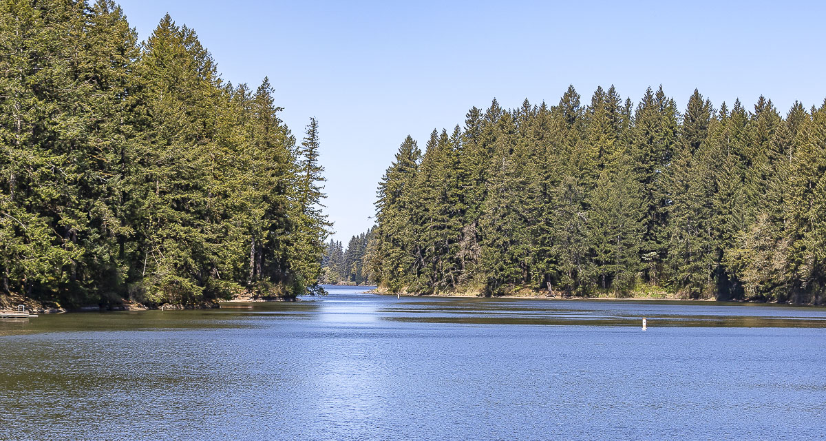 Clark County Public Health issued a warning for Round Lake after tests showed elevated cyanotoxins; Vancouver Lake remains under a danger advisory.