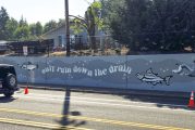New mural dedicated near Klineline Pond and Salmon Creek
