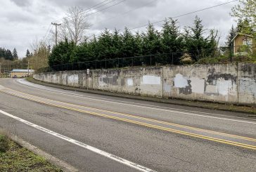 Volunteers needed for the Salmon Creek mural project, Sept. 6, 7, 13 and 14