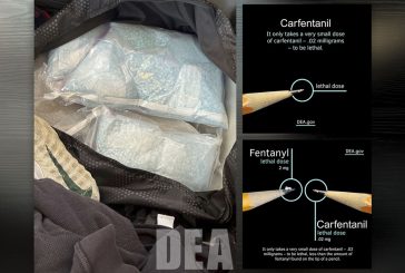 Thousands of counterfeit M30 pills containing Carfentanil seized in Centralia