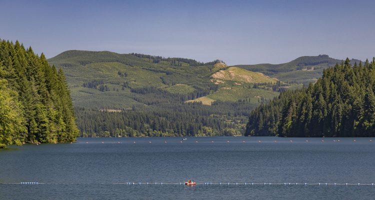 Beginning in 2026, Beaver Bay Park opens May 22–Sept. 30 and Swift Forest Camp offers day use from May 10 and camping May 22–Nov. 22 to meet visitor needs and protect a nearby heron rookery.