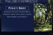Opinion: Making Pacific Northwest forests healthy using the Good Neighbor Authority