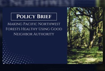 Opinion: Making Pacific Northwest forests healthy using the Good Neighbor Authority