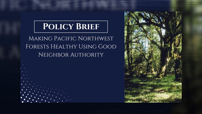 Todd Myers highlights how the Good Neighbor Authority helps states and tribes partner with the federal government to improve forest health and reduce wildfire risk.