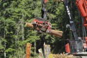 WA governor and AG oppose repeal of federal forest protections