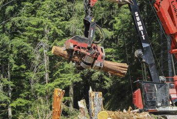 WA governor and AG oppose repeal of federal forest protections
