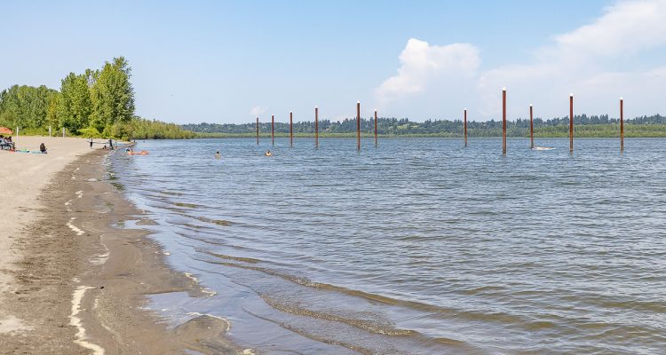 Clark County Public Health lifted the danger advisory at Vancouver Lake after toxin levels dropped, though blooms may return under changing conditions.