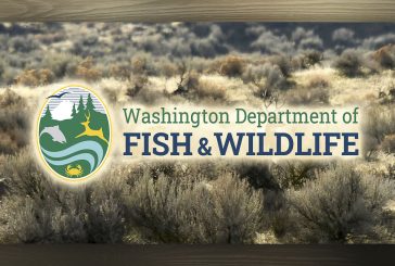 WDFW opens public feedback survey to begin three-year hunting season planning