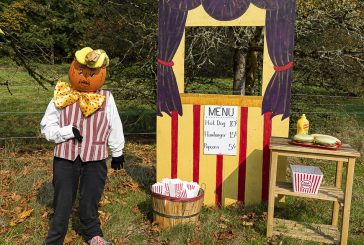 Pumpkin Patch Season 2025 has arrived