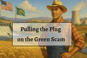 Opinion: Pulling the plug on the green scam