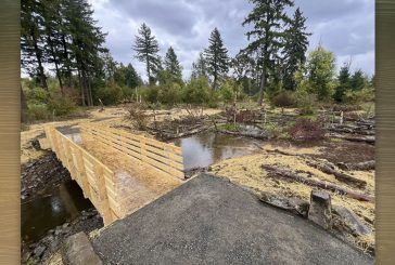 Campen Creek Reconnection Project restores nine acres of floodplain habitat