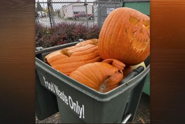 When Halloween tricks are over, residents can treat the earth by composting pumpkins