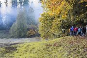 County hosting open house on Oct. 29 to present updates to the restoration concept and trail plans for the Gordy Jolma Family Natural Area