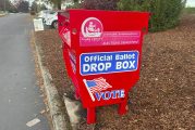 Voting begins in November general election