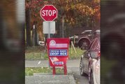 Initial results of the Nov. 4 general election show a low turnout of voters
