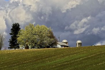 County releases agricultural lands study as part of the comprehensive plan update