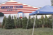 Smith-Reynolds American Legion Post #14 announces annual Christmas Tree Sale to support veterans