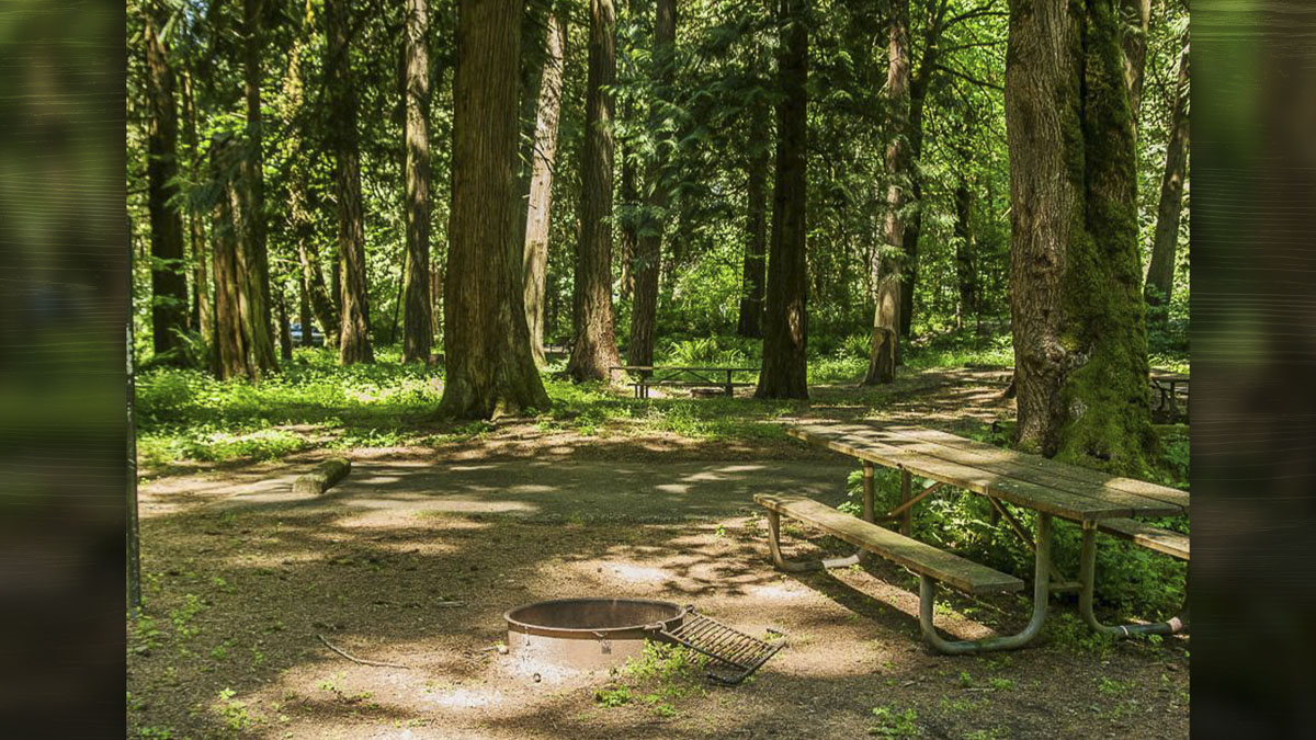 Washington State Parks reports that Discover Pass sales dropped after the October price hike, while revenue increased.