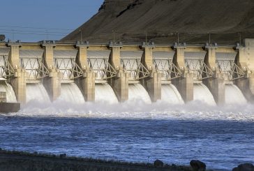 WSU review flags $4M WSDOT study on dam breaching for not meeting expectations