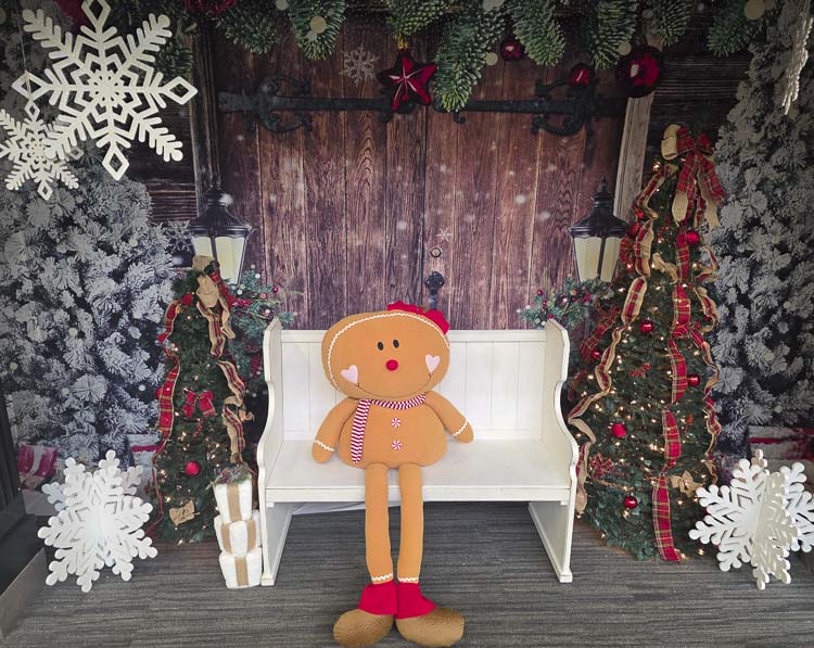 Children can have a seat next to this stuffed creature at the Vancouver Mall this Christmas season. Photo by Paul Valencia