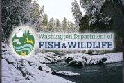 Life outdoors: Bundle up for winter adventures