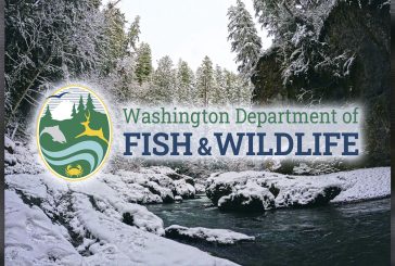 Life outdoors: Bundle up for winter adventures