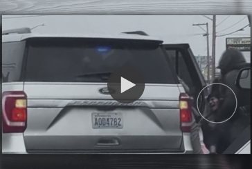 Opinion: ‘I don’t understand how it is an act of racism to enforce our immigration laws’