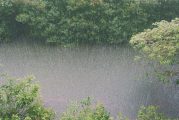 Major flooding on way for Western Washington this week