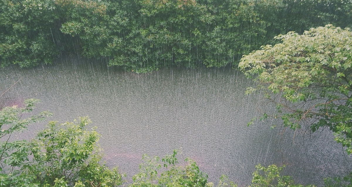Forecasters say an intense atmospheric river could drop up to 15 inches of rain in parts of Western Washington this week, pushing multiple rivers into major flood stage.