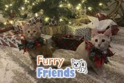 Furry Friends Giving Trees 2025 underway