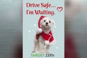 Target Zero honors traffic safety champions at the Night of 1000 Stars Ceremony