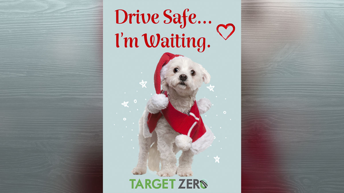 Target Zero will recognize law enforcement, community leaders, and organizations for their commitment to traffic safety at the Night of 1000 Stars Ceremony, followed by enhanced DUI patrols in Clark County.