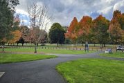 County regional parks annual parking passes now available for purchase