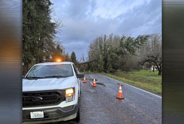 Wild windstorm knocks out power, closes roads, and cancels school throughout Clark County