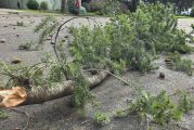 Weather update: Heavy rains and strong wind gusts expected for the rest of Thursday