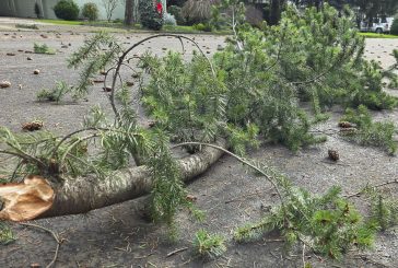 Weather update: Heavy rains and strong wind gusts expected for the rest of Thursday